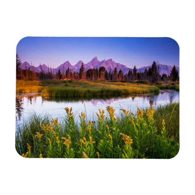 Blumen | Grand Teton National Park, Wyoming Magnet (Horizontal)
