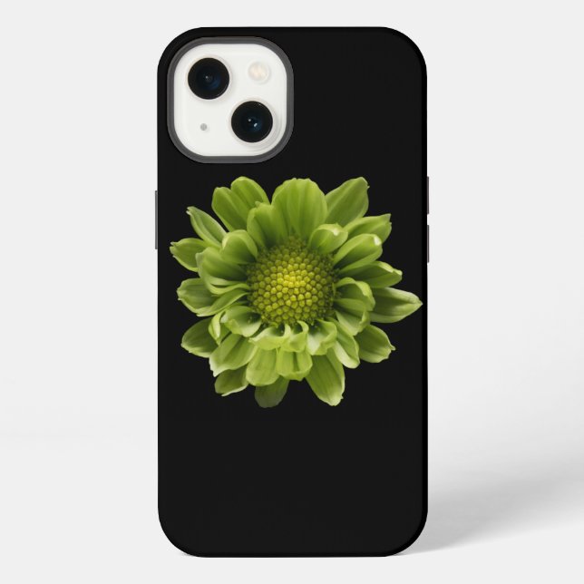 Blumen | Grüne Chrysantheme iPhone Hülle (Rückseite)