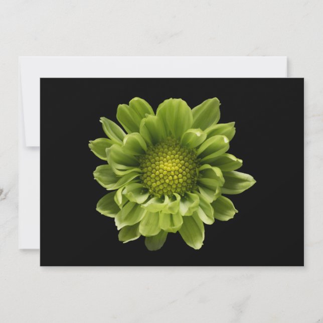 Blumen | Grünes Chrysanthemum Dankeskarte (Vorderseite)