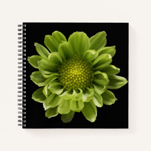 Blumen   Grünes Chrysanthemum Notizbuch