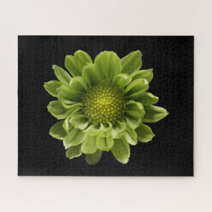 Blumen   Grünes Chrysanthemum Puzzle