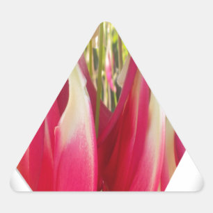 Blumen-Herz-Kunstposter Dreieckiger Aufkleber
