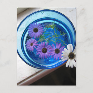 Blumen im blauen Pool Postkarte
