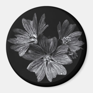 Blumen im Garten in Schwarz-Weiß Nr. 11 Magnet