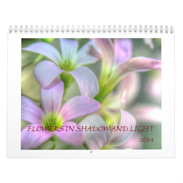 Blumen in den Schatten und im Licht Kalender (Titelbild)