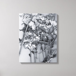 Blumen in Schwarz und Weiß Leinwanddruck