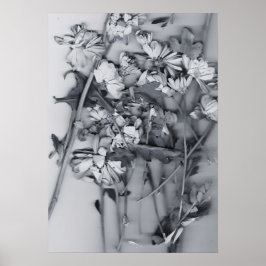 Blumen in Schwarz und Weiß Poster
