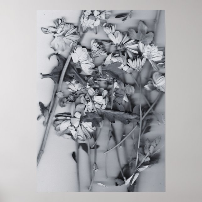 Blumen in Schwarz und Weiß Poster (Vorne)