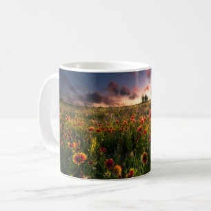 Blumen   Indian Blanket Wildblume Texas Kaffeetasse