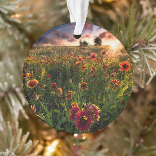 Blumen | Indian Blanket Wildblume Texas Ornament (Baum)