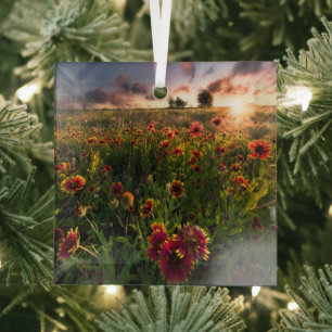 Blumen   Indian Blanket Wildblume Texas Ornament Aus Glas
