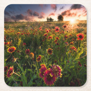 Blumen Indian Blanket Wildblume Texas Rechteckiger Pappuntersetzer