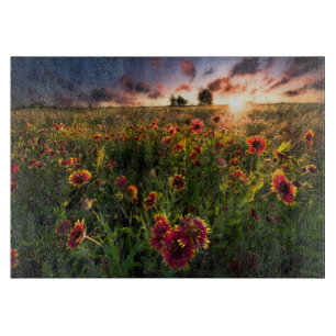 Blumen   Indian Blanket Wildblume Texas Schneidebrett