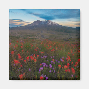 Blumen   Indian Paintbrush & Penstemon Magnet