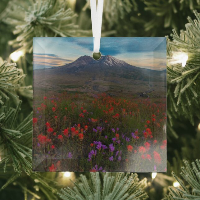 Blumen | Indian Paintbrush & Penstemon Ornament Aus Glas (Insitu)