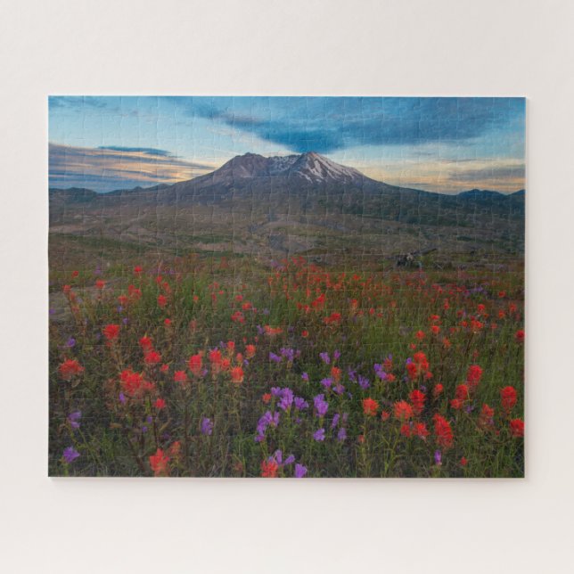 Blumen | Indian Paintbrush & Penstemon Puzzle (Horizontal)