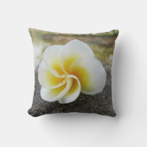 Blumen, Käfer, japanisch, asiatisch, chinesisch, a