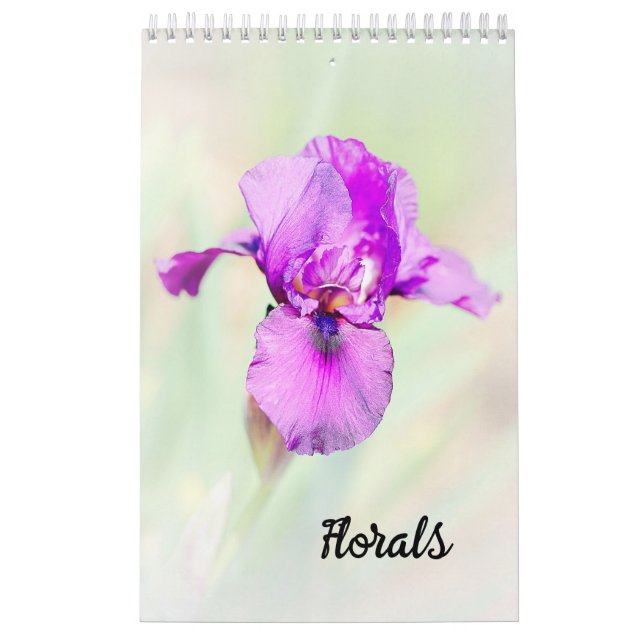 Blumen Kalender (Titelbild)