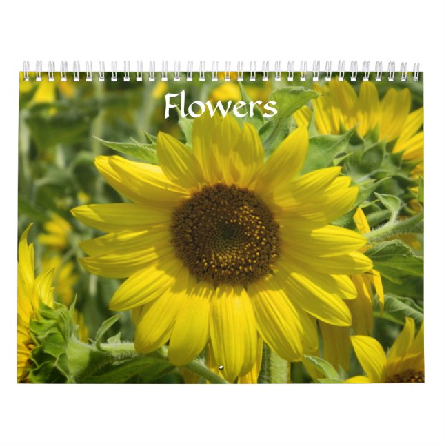 Blumen Kalender (Titelbild)