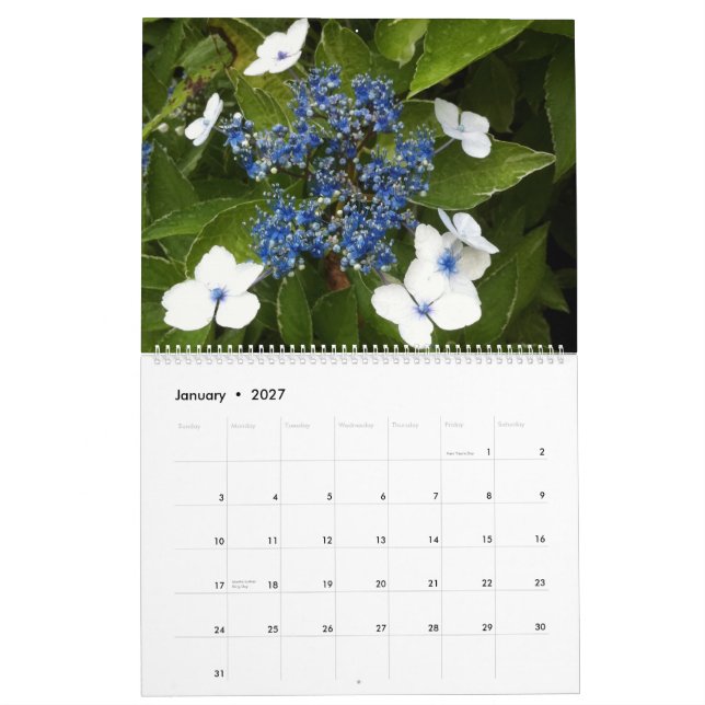 Blumen Kalender (Jan 2027)