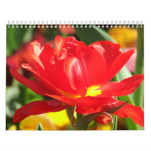 Blumen-Kalender 2012 Kalender