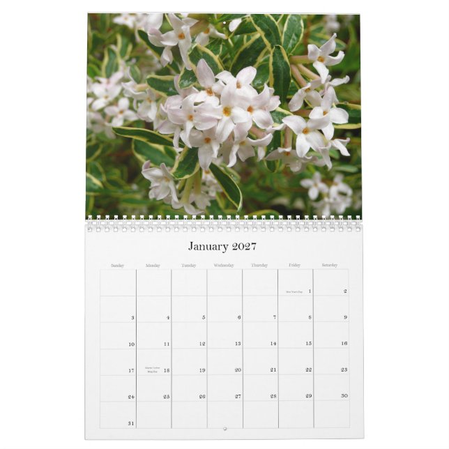 Blumen-Kalender 2013 Kalender (Jan 2027)