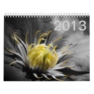 Blumen-Kalender 2013 Kalender
