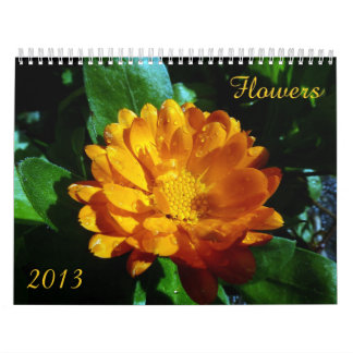 Blumen-Kalender 2013 Kalender