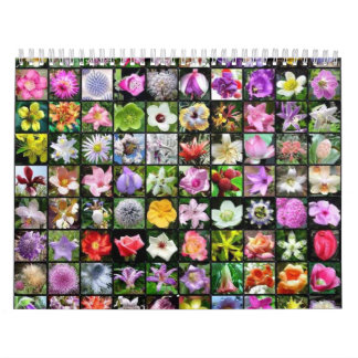 Blumen-Kalender 2 Kalender