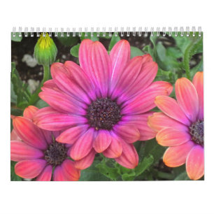 Blumen-Kalender Kalender