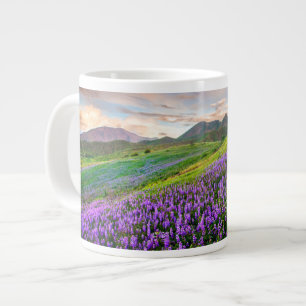 Blumen   Kalifornische Wildblumen Jumbo-Tasse