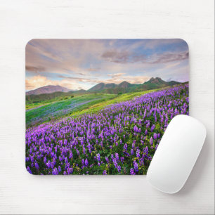 Blumen   Kalifornische Wildblumen Mousepad