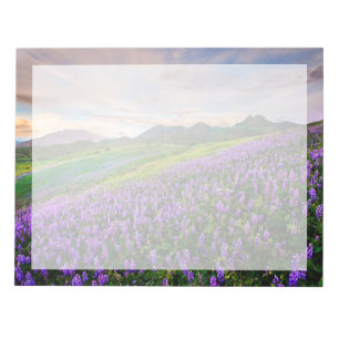 Blumen   Kalifornische Wildblumen Notizblock