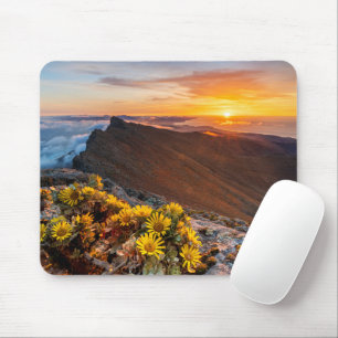 Blumen Kanarische Inseln, Spanien Mousepad