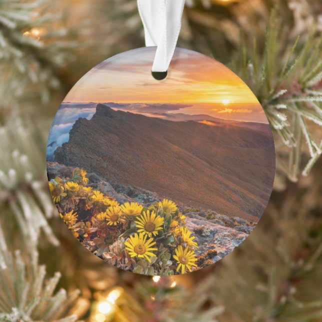 Blumen | Kanarische Inseln, Spanien Ornament (Baum)