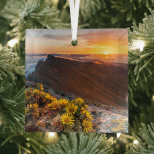 Blumen   Kanarische Inseln, Spanien Ornament Aus Glas