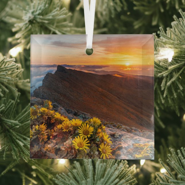 Blumen | Kanarische Inseln, Spanien Ornament Aus Glas (Insitu)