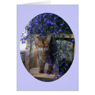 Blumen-Katze (oval)