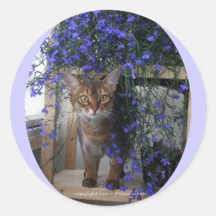 Blumen-Katze (oval) Runder Aufkleber