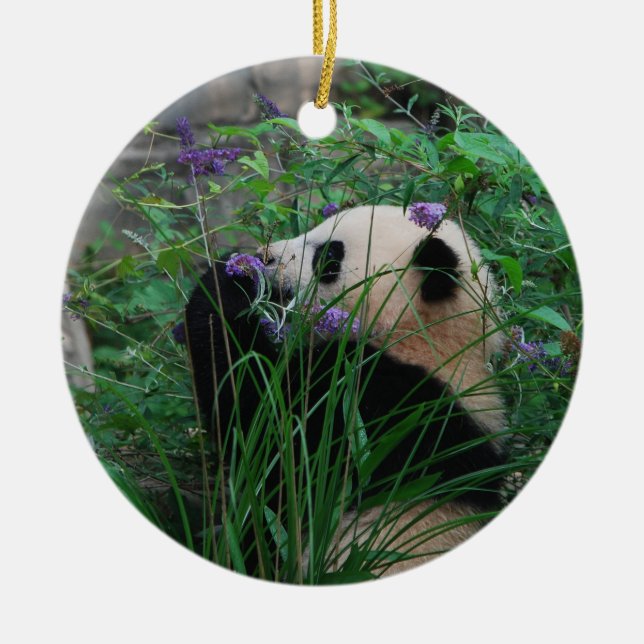 Blumen-KindBao Bao riesiger Panda CUB verzieren Keramikornament (Vorne)