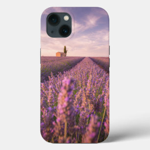 Blumen   Lavendel Südfrankreich Case-Mate iPhone Hülle