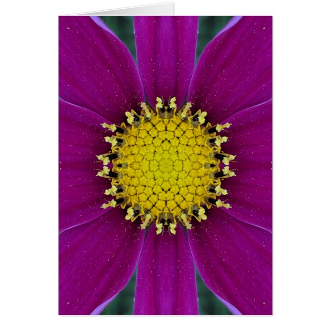 Blumen-leere Karte (Vorne)