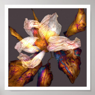 Blumen-Lied Poster