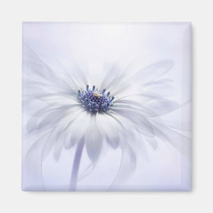 Blumen LILA BLUME Magnet