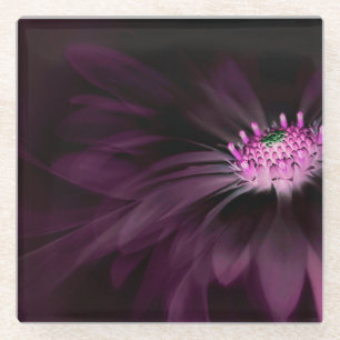 Blumen Lila Daisy Glasuntersetzer