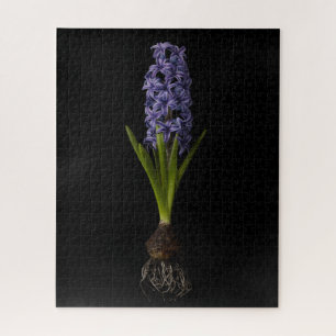 Blumen Lila Hyacinth Bulb Puzzle