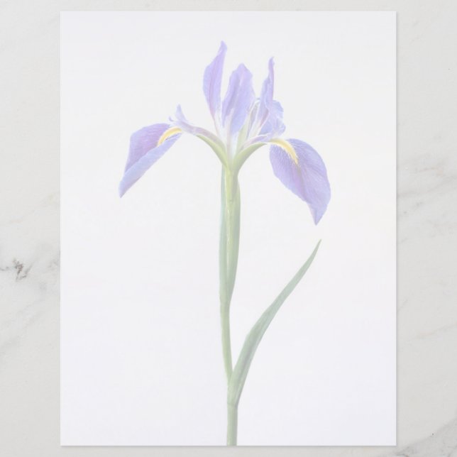 Blumen | Lila Iris-Blume (Vorderseite)