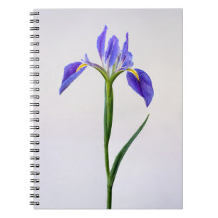 Blumen Lila Iris-Blume Notizblock