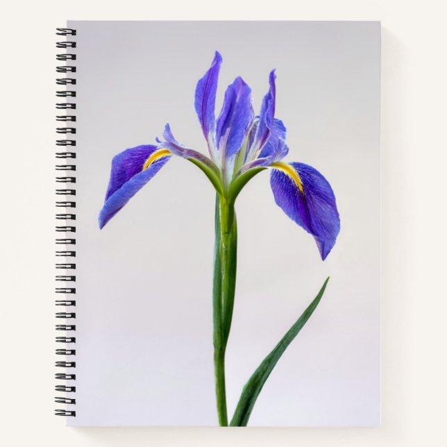 Blumen | Lila Iris-Blume Notizbuch (Vorderseite)