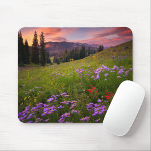Blumen   Lila Wildblumen Colorado Mousepad